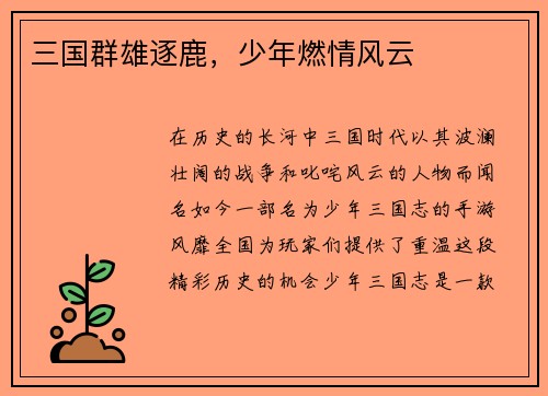 三国群雄逐鹿，少年燃情风云
